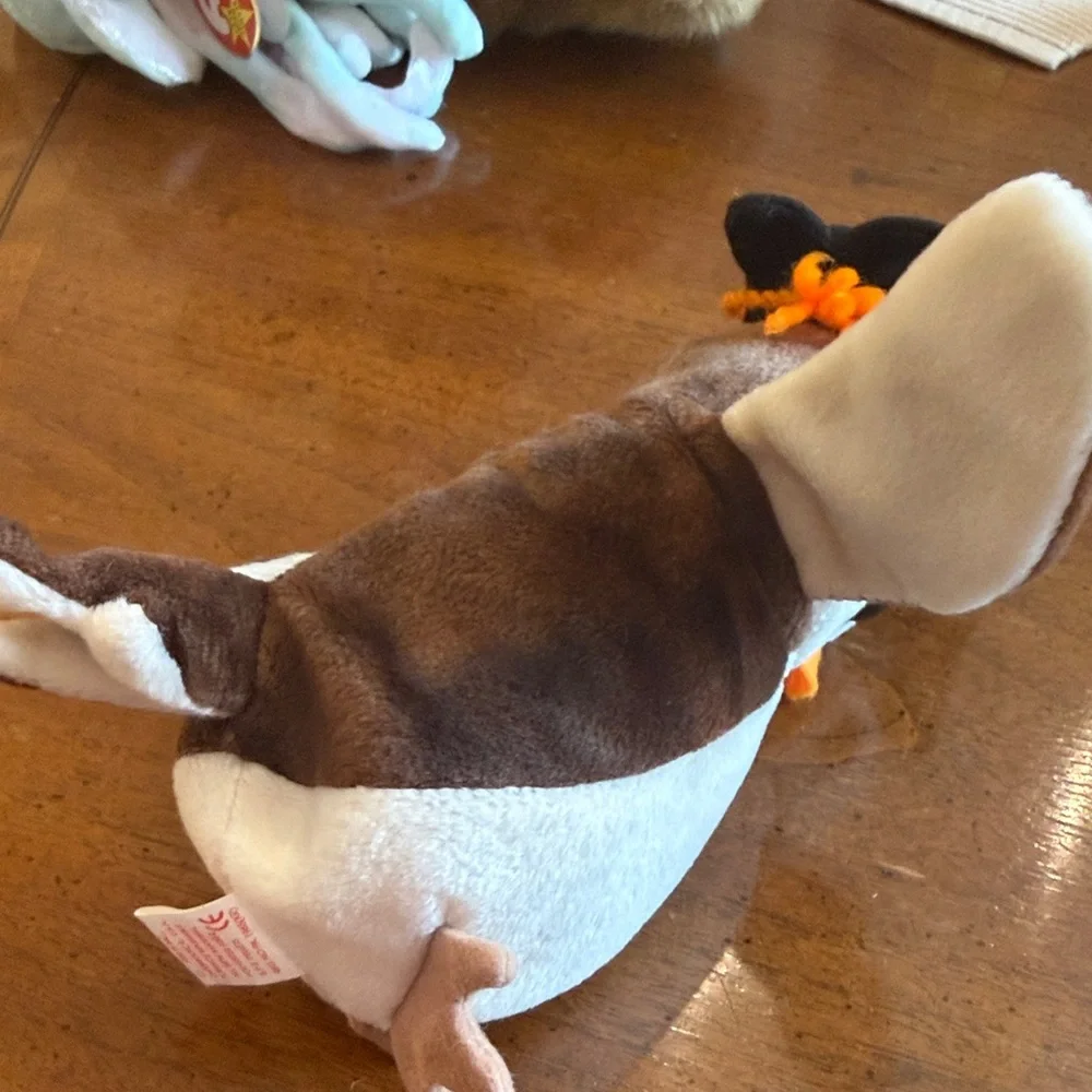 Ty Brown, White and Orange Plush Owl with Graduation Cap named Wise